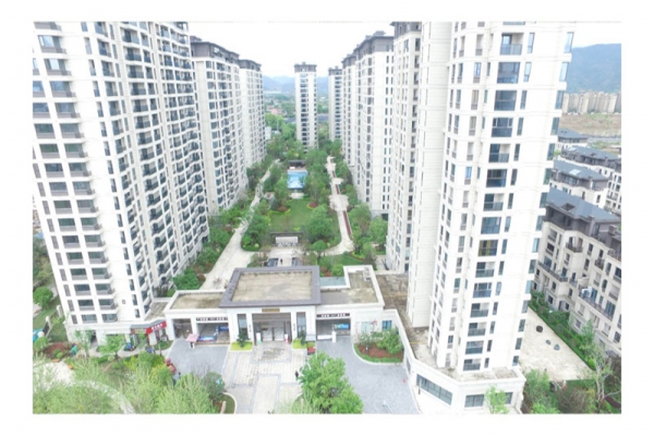 喜報！我公司“錢江杯”、“九龍杯”創(chuàng)歷史最好成績