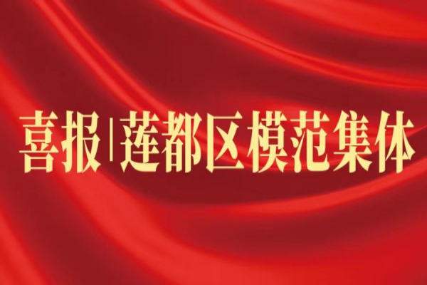 喜報丨浙江中立建設榮獲蓮都區(qū)“模范集體”稱號！